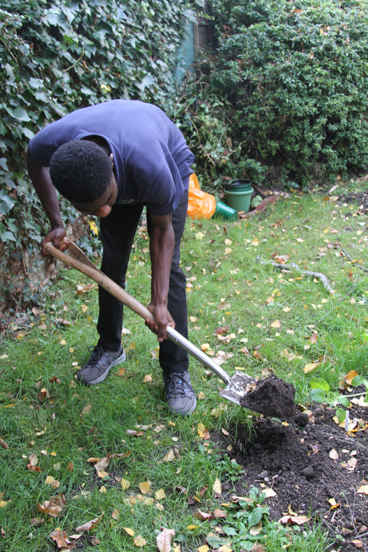 A pupil helps with gardening